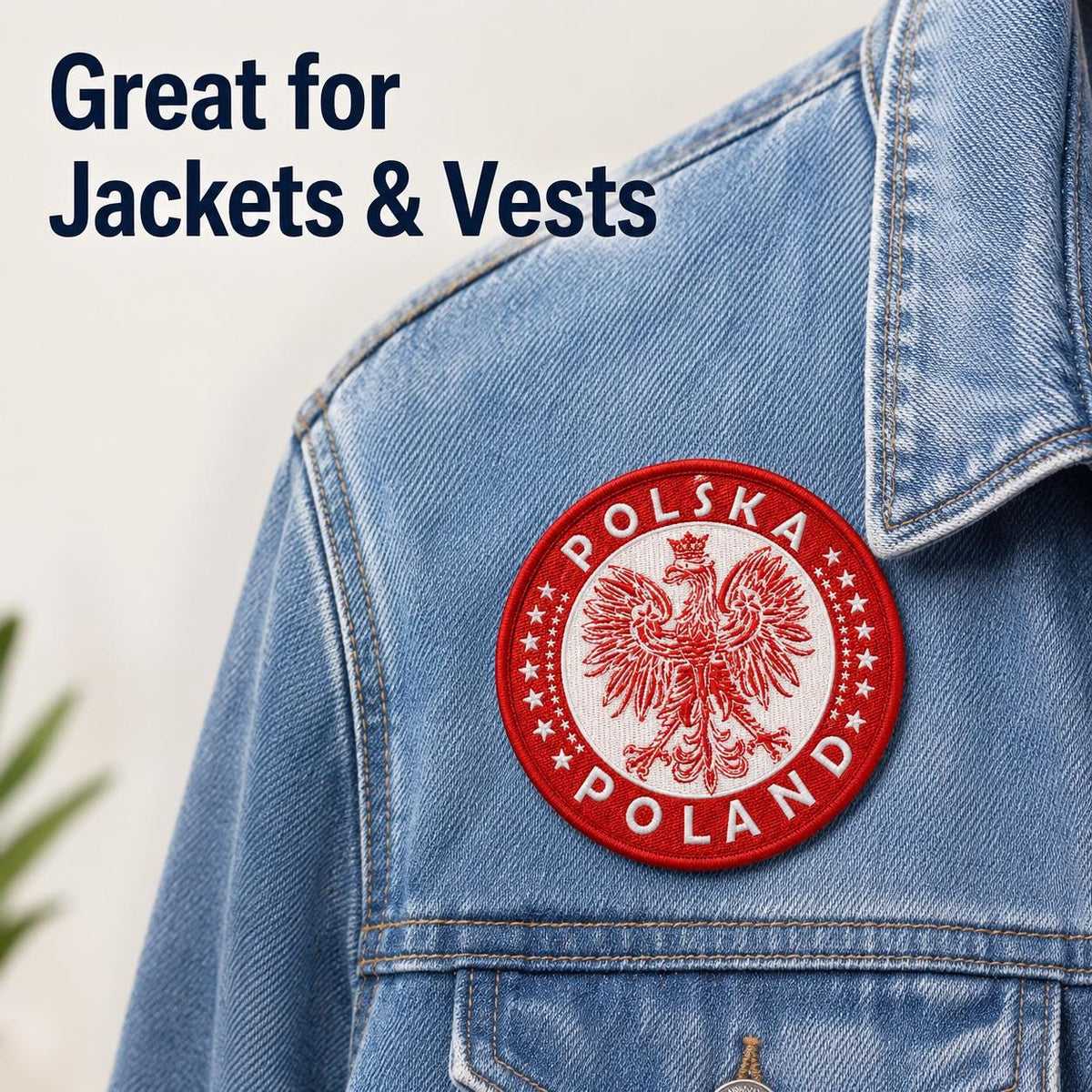 Poland Eagle Patch - image 7