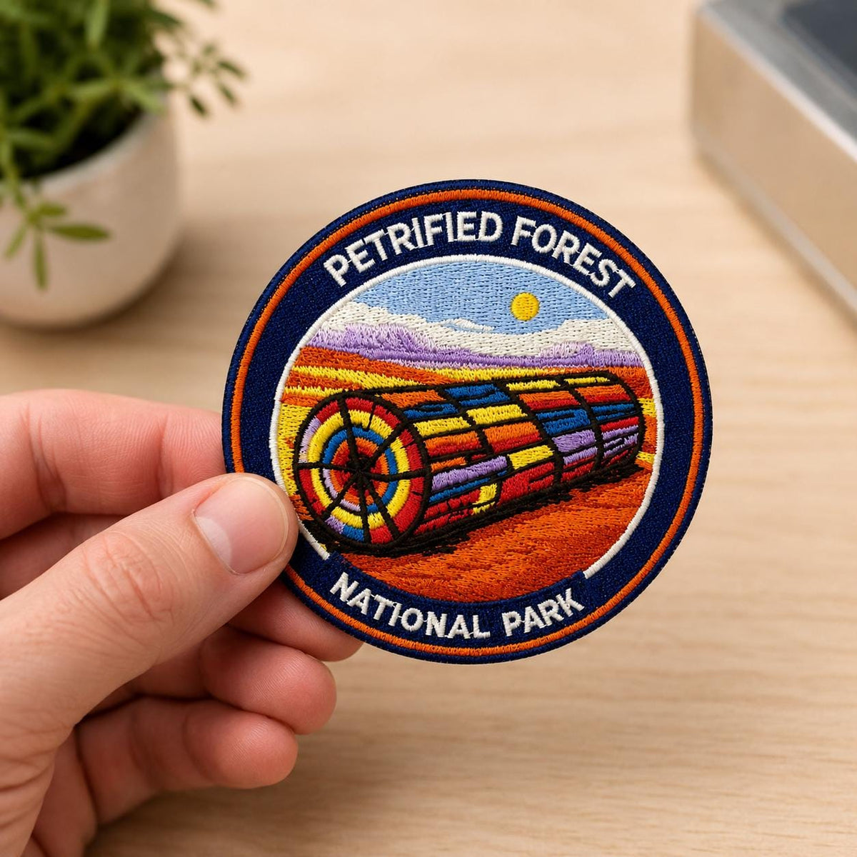Petrified Forest National Park Patch - image 3