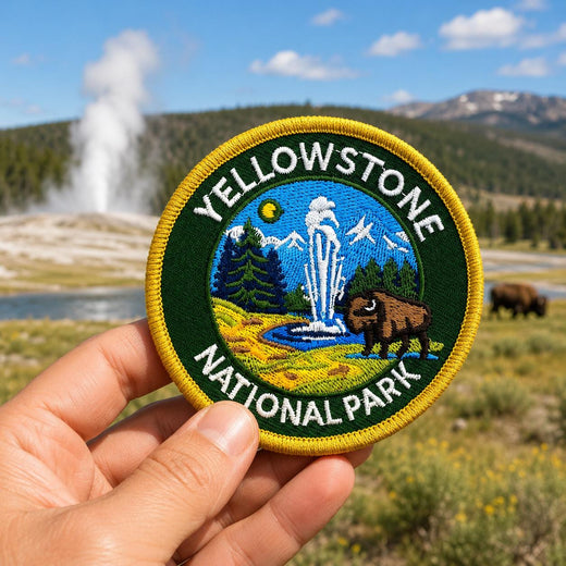 Yellowstone Bison & Geyser Patch